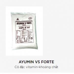 AYUMIN V5 FORTE
