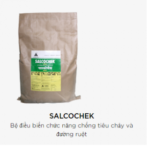 SALCOCHEK
