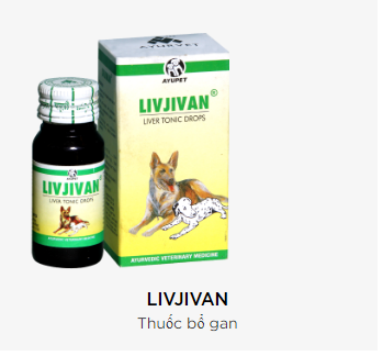 LIVJIVAN