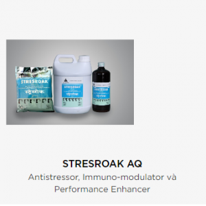 STRESROAK AQ