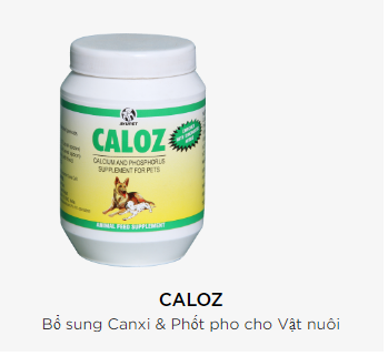 CALOZ