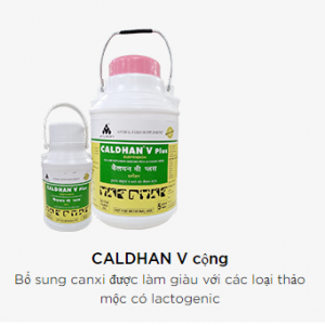 CALDHAN V Plus