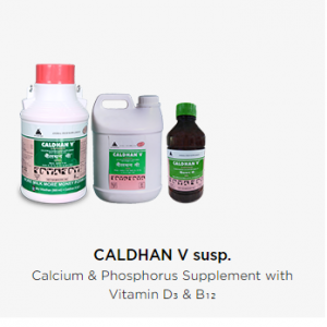 CALDHAN V susp