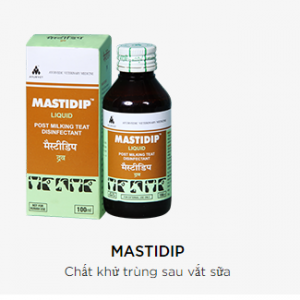 MASTIDIP