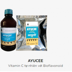 AYUCEE