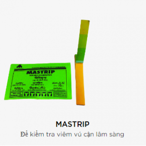 MASTRIP
