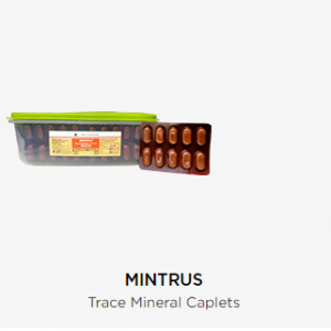 MINTRUS