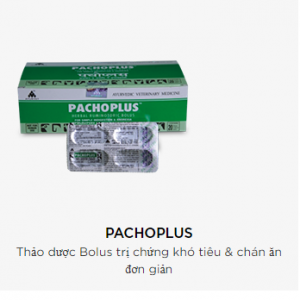 PACHOPLUS
