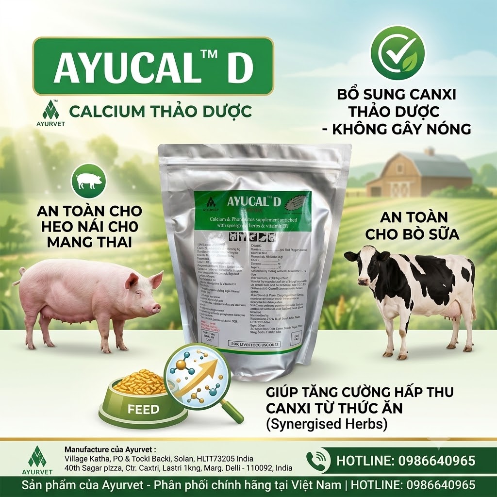 Ayucal - D : Can xi, khoáng thảo dược