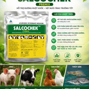 Salcocheck - Thảo dược thay thế kháng sinh, cải thiện sức khỏe đường ruột, giảm hiện tượng tiêu chảy
