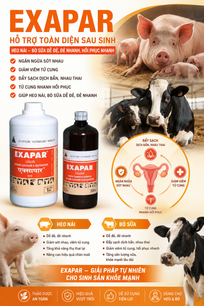 Exapar - Thảo dược chống sát nhau, viêm tử cung