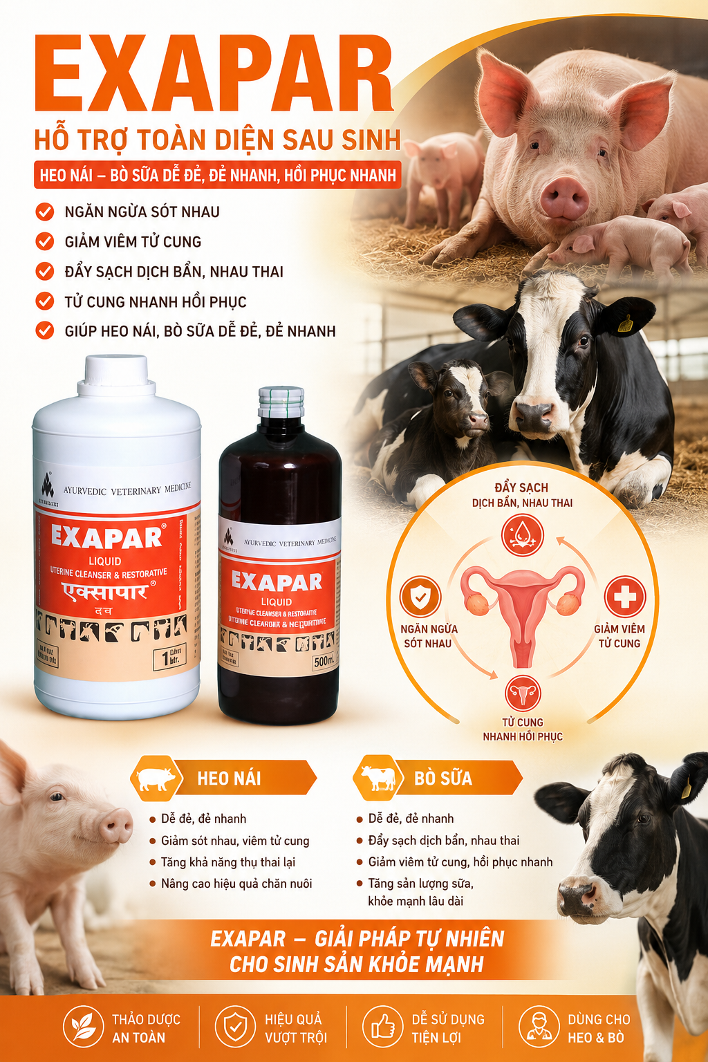 exapar