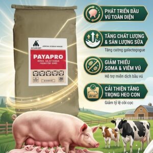 Thảo dược cho bầu vú - sữa - tế bào soma