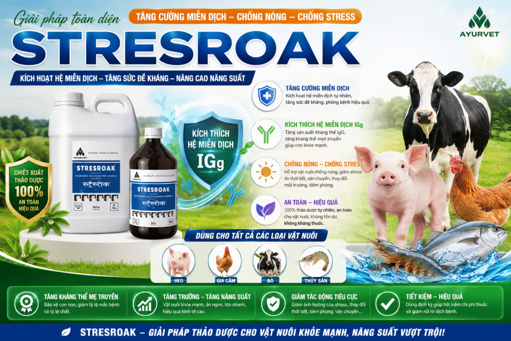 Stresroak Liquid - Thảo dược chống stress, tăng cường miễn dịch