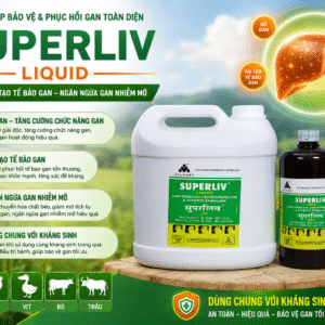 Superliv Thảo dược bổ gan - thận - giải độc