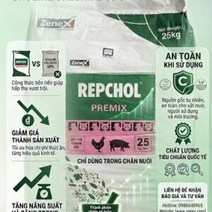 Repchol Premix - Thay thế Choline Chloride 60% - 99%